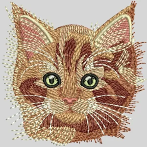 Cat Desgin 2