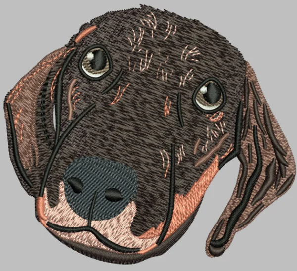 ILive Doge Face 3