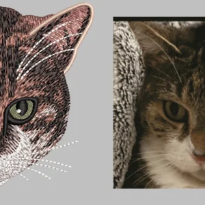 Cat Desgin 5