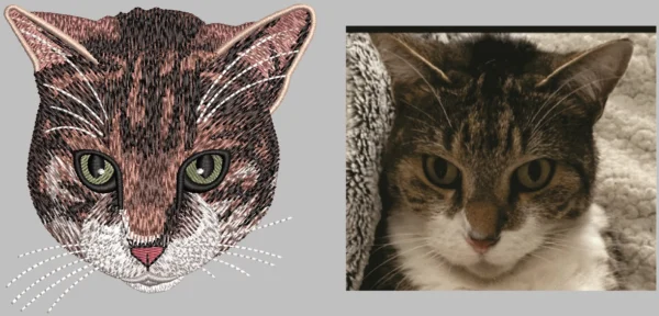 Cat Desgin 5