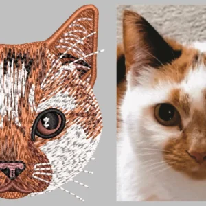 Cat Desgin 6