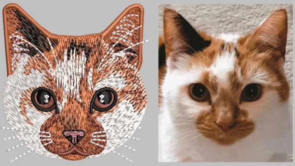 Cat Desgin 6