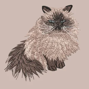 Cat Desgin 8